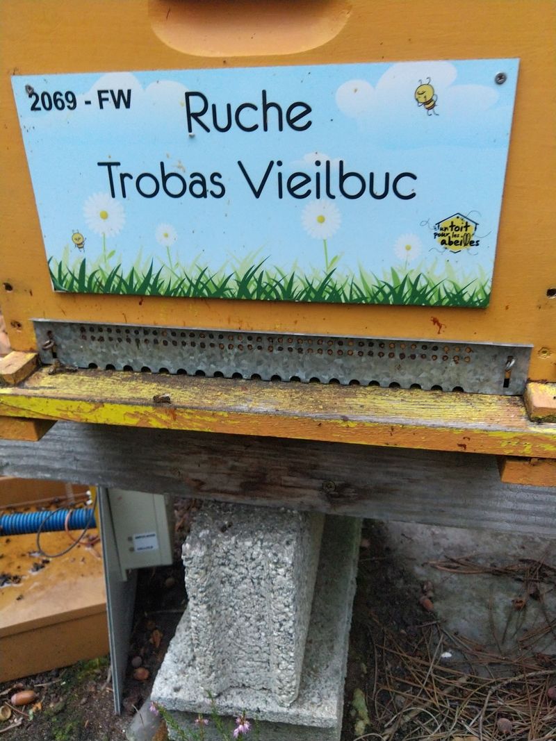 La ruche Trobas Vieilbuc