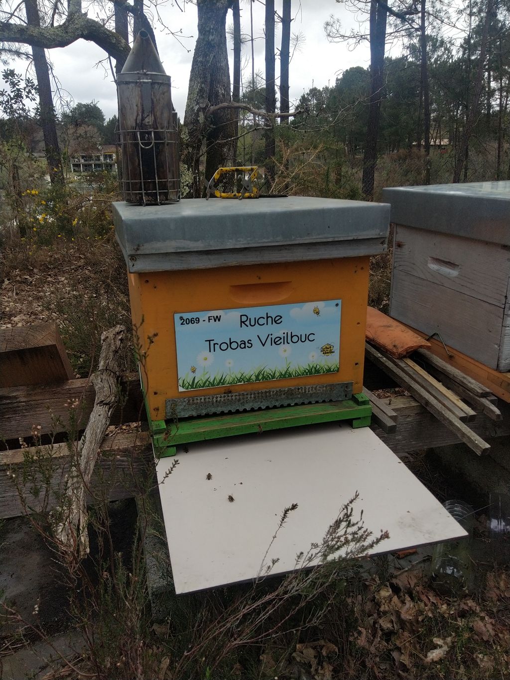 La ruche Trobas Vieilbuc