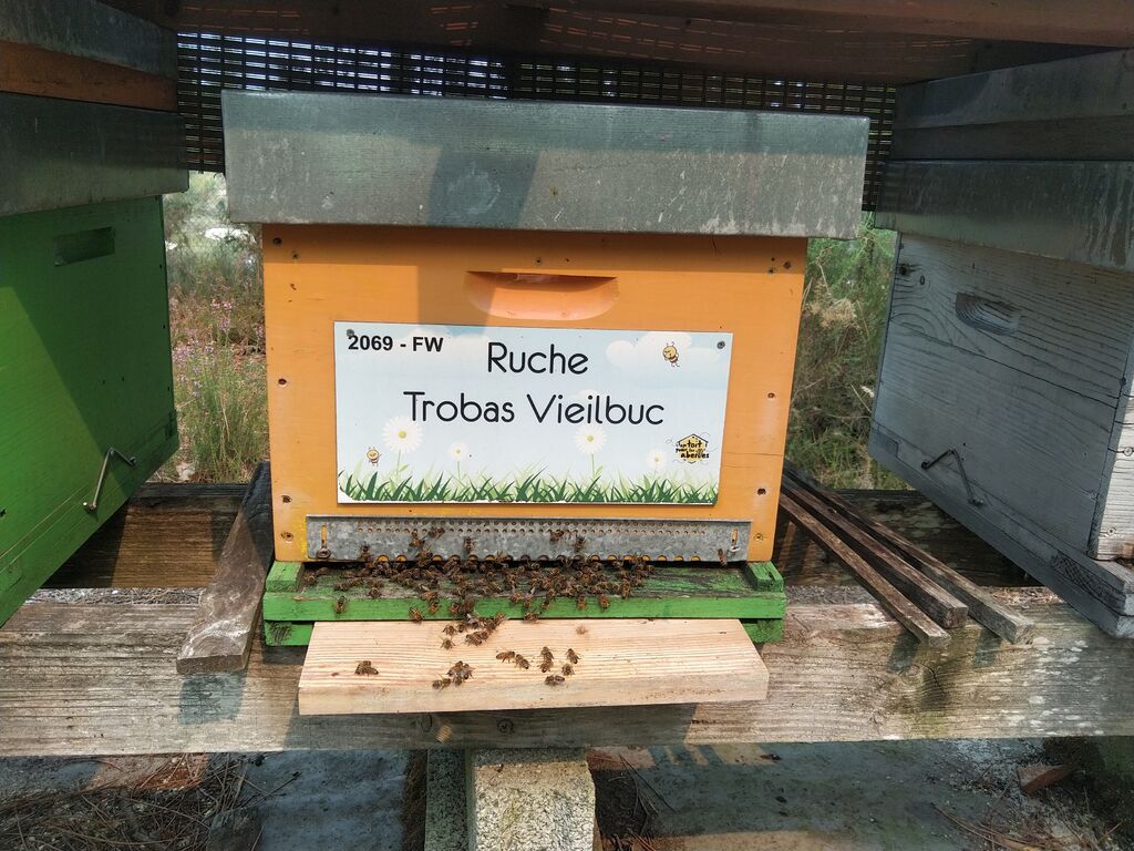 La ruche Trobas Vieilbuc