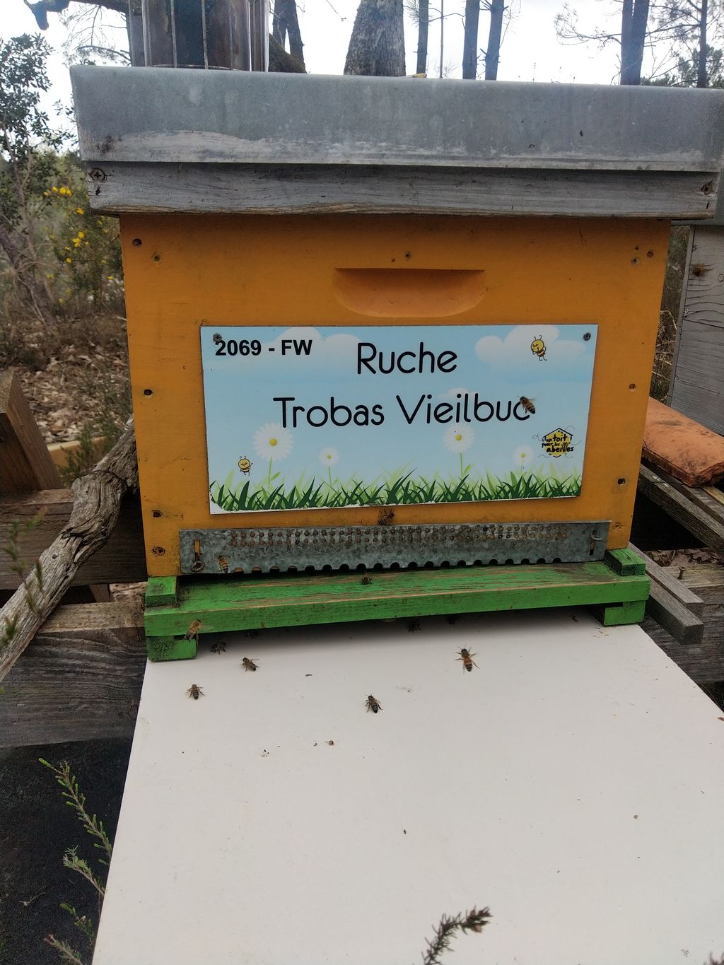 La ruche Trobas Vieilbuc