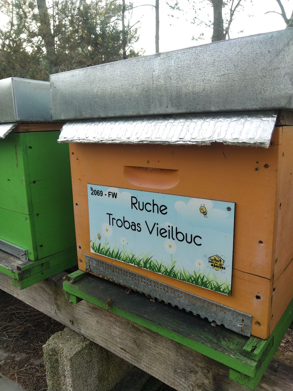 La ruche Trobas Vieilbuc
