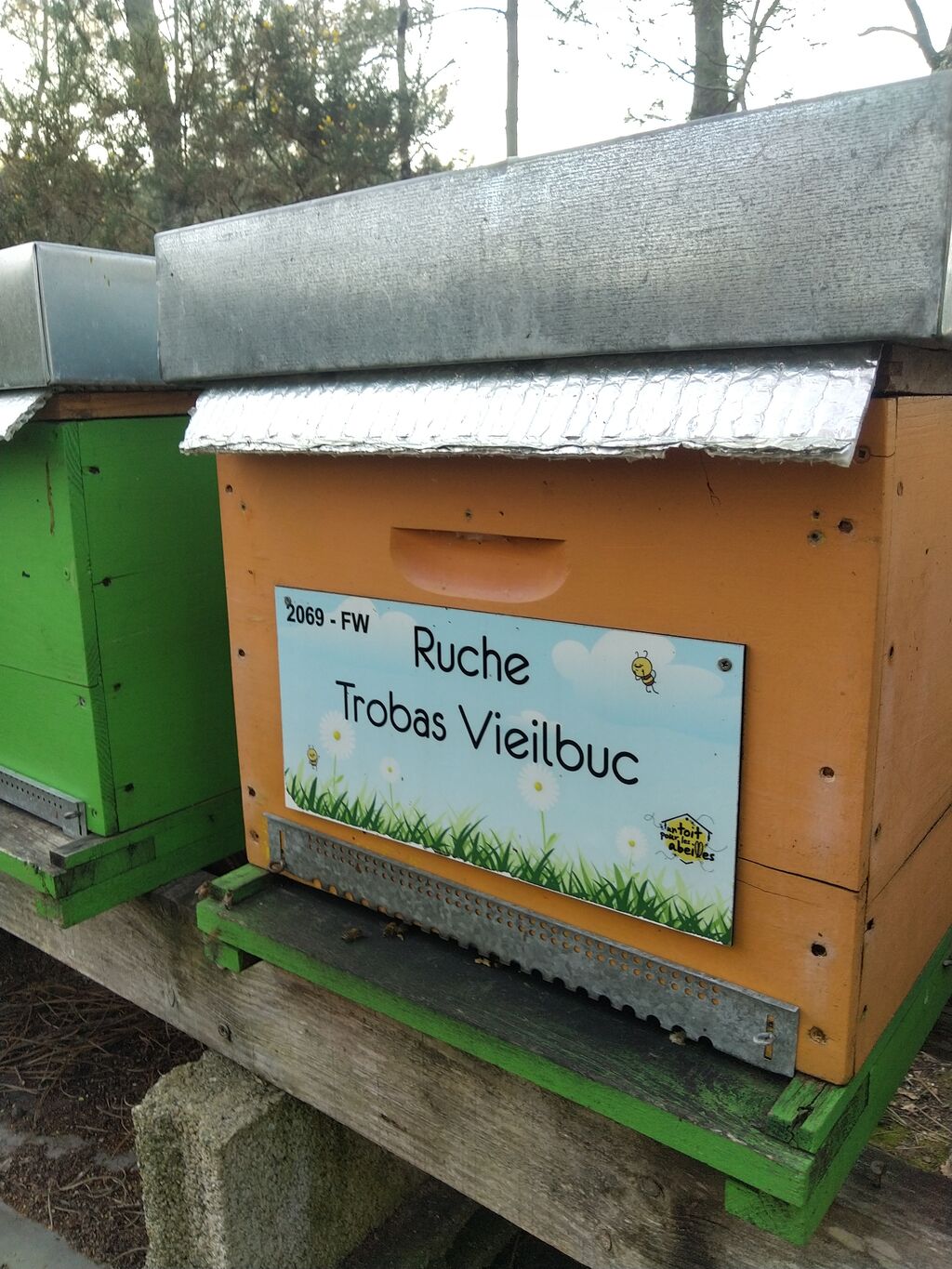 La ruche Trobas Vieilbuc