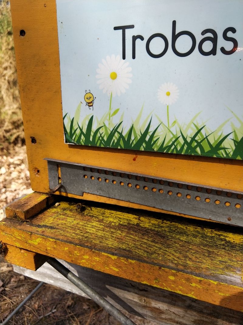 La ruche Trobas Vieilbuc