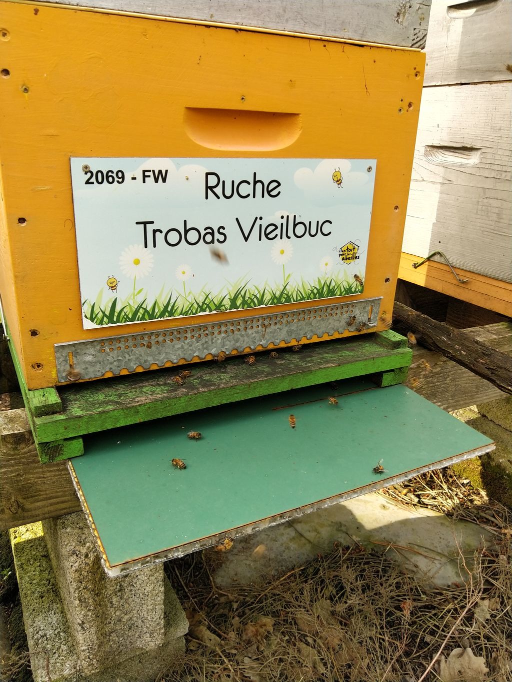 La ruche Trobas Vieilbuc