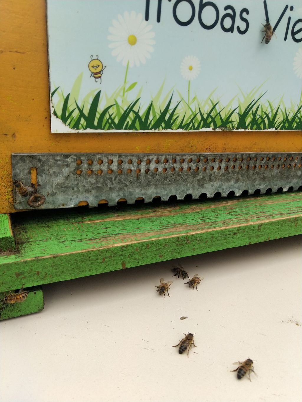 La ruche Trobas Vieilbuc