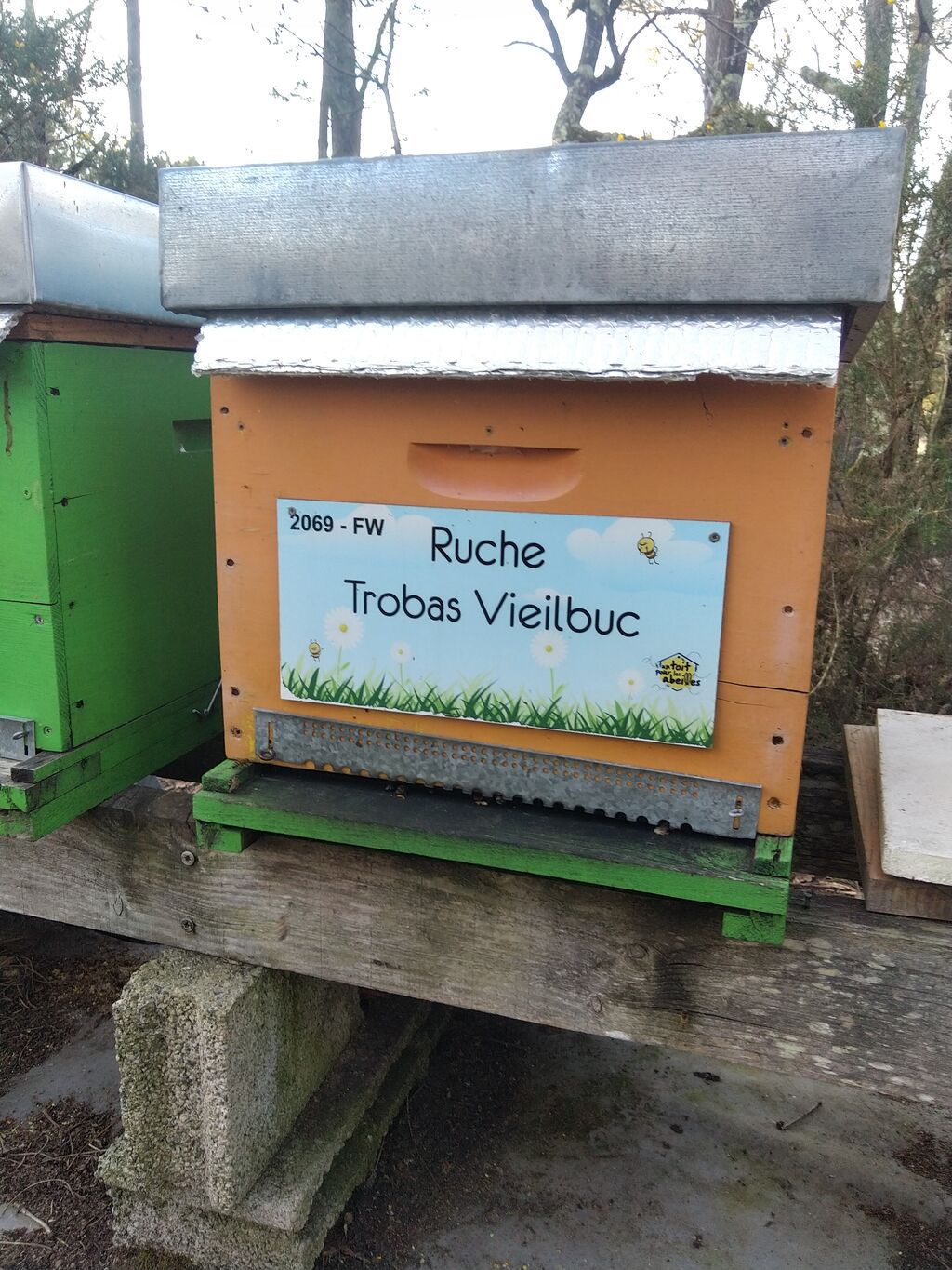 La ruche Trobas Vieilbuc
