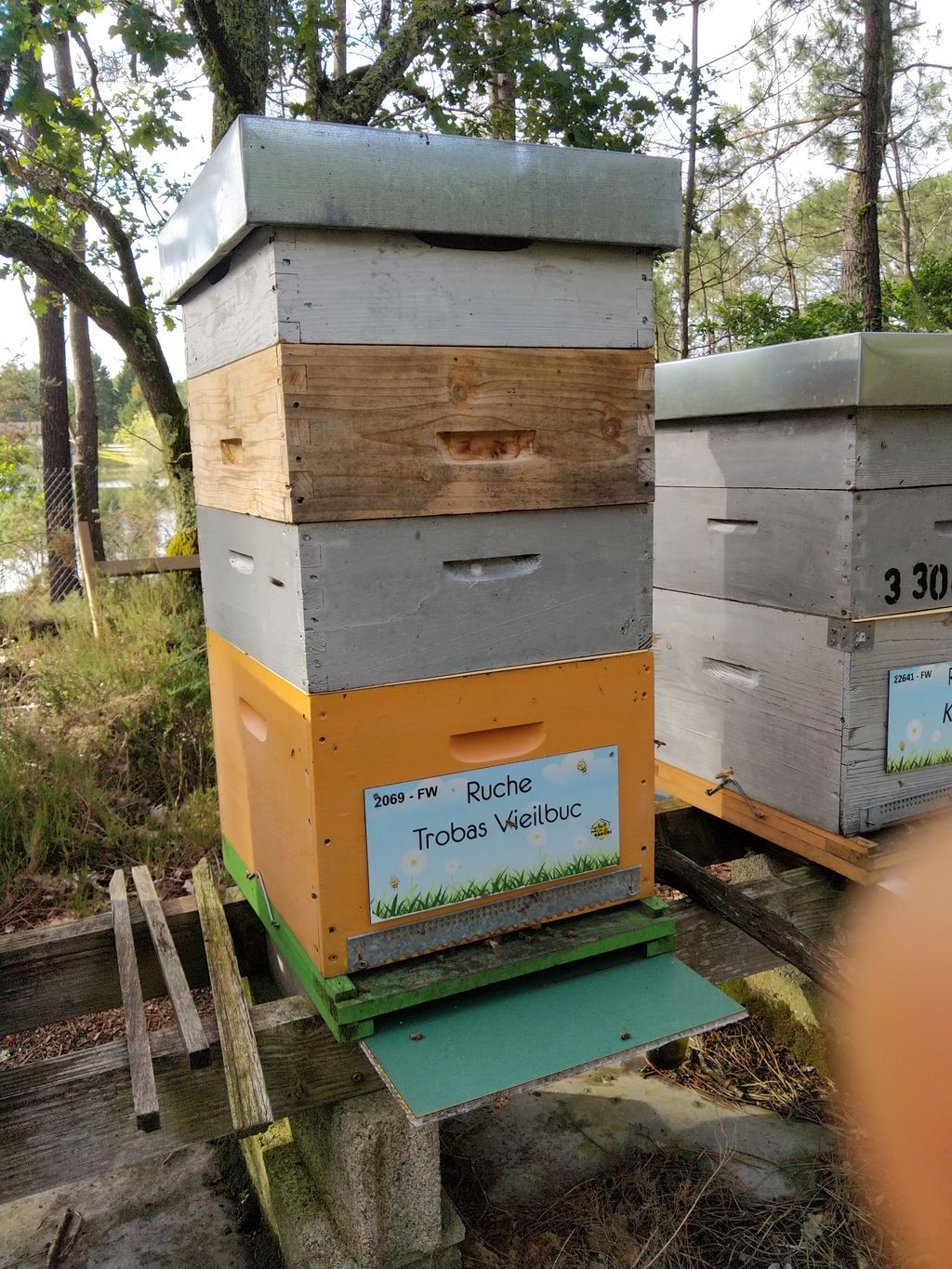 La ruche Trobas Vieilbuc