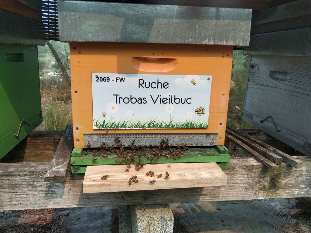 La ruche Trobas Vieilbuc
