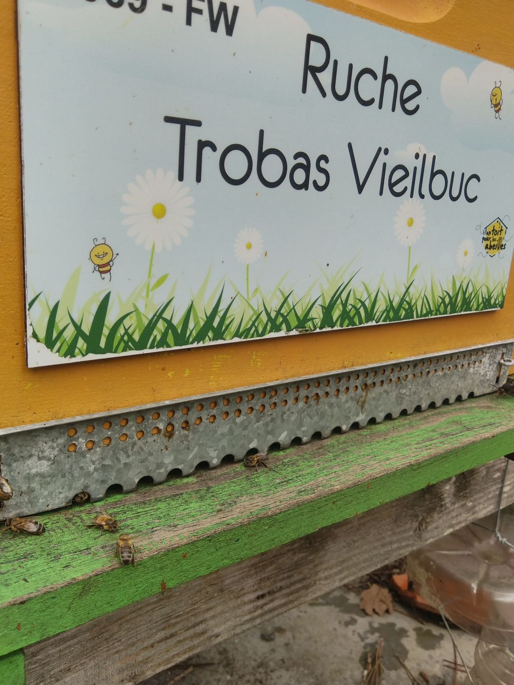 La ruche Trobas Vieilbuc