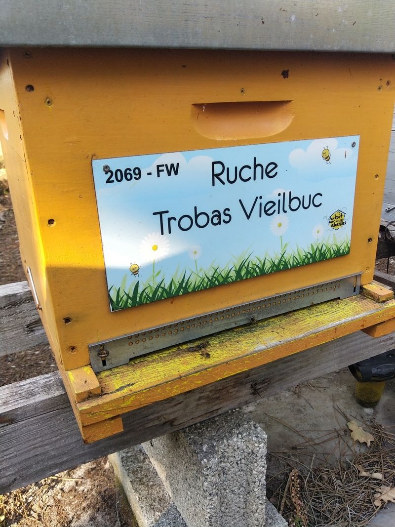 La ruche Trobas Vieilbuc