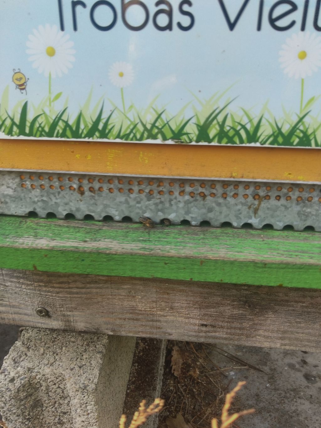 La ruche Trobas Vieilbuc