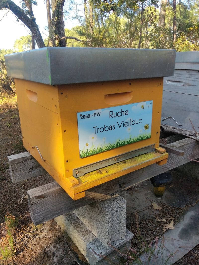 La ruche Trobas Vieilbuc