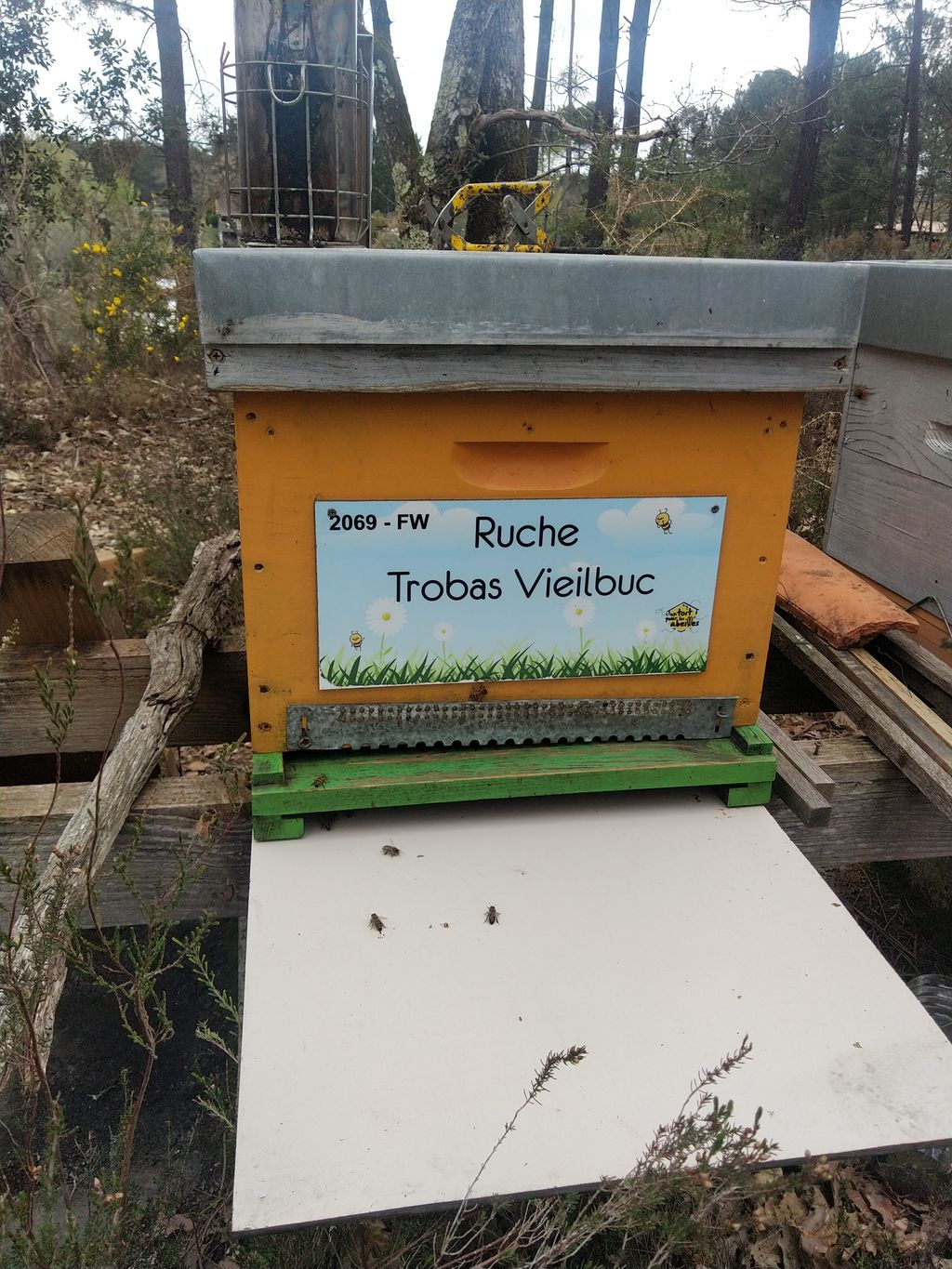 La ruche Trobas Vieilbuc