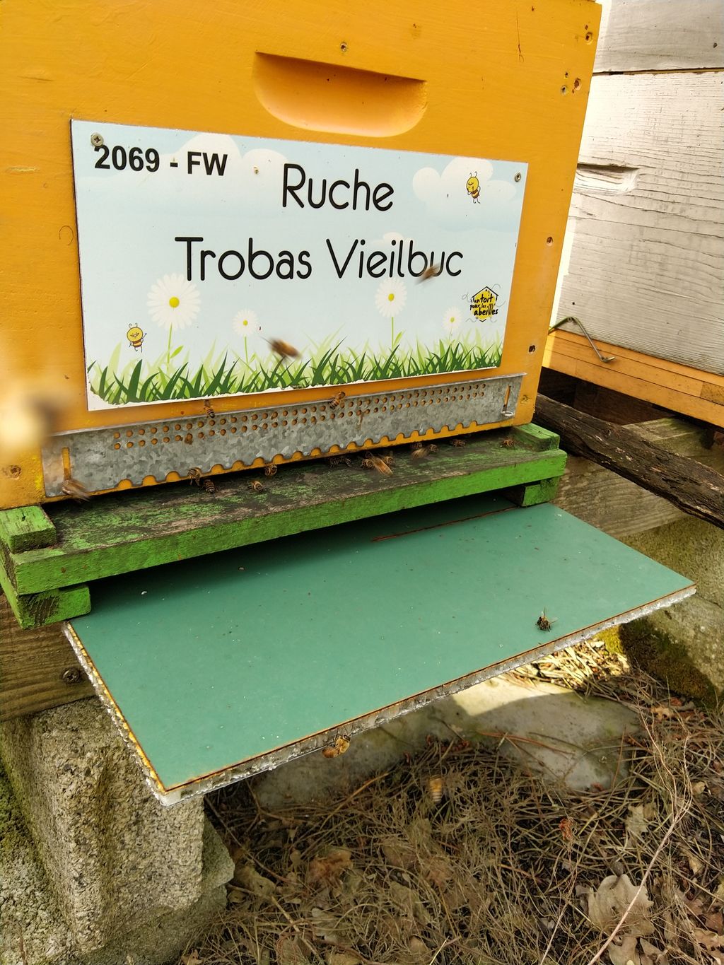 La ruche Trobas Vieilbuc