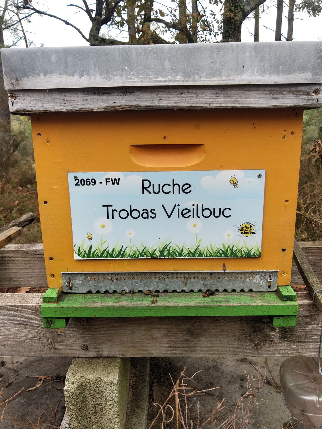 La ruche Trobas Vieilbuc