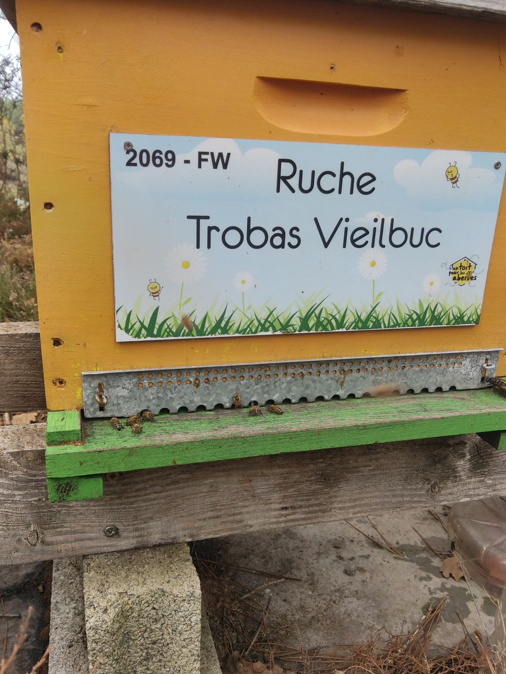 La ruche Trobas Vieilbuc