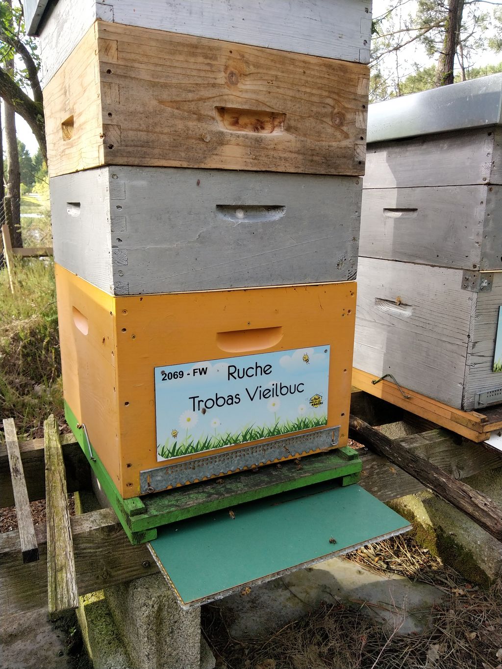 La ruche Trobas Vieilbuc
