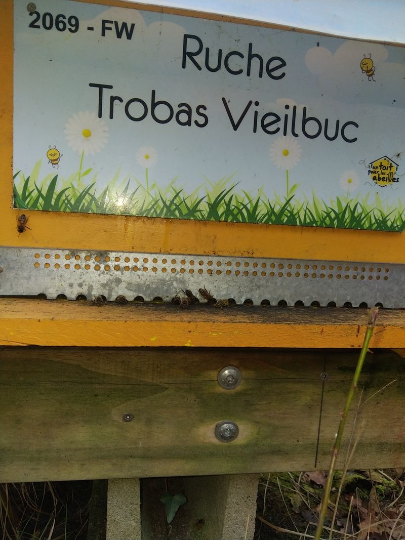 La ruche Trobas Vieilbuc