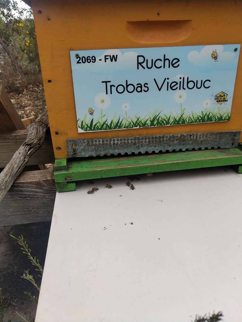 La ruche Trobas Vieilbuc