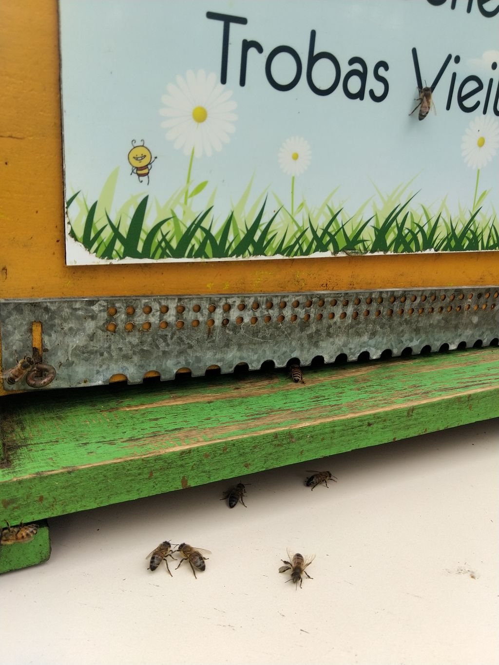 La ruche Trobas Vieilbuc