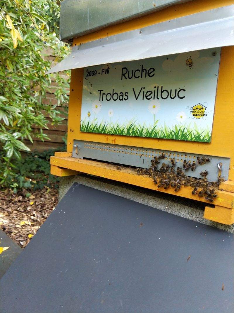 La ruche Trobas Vieilbuc