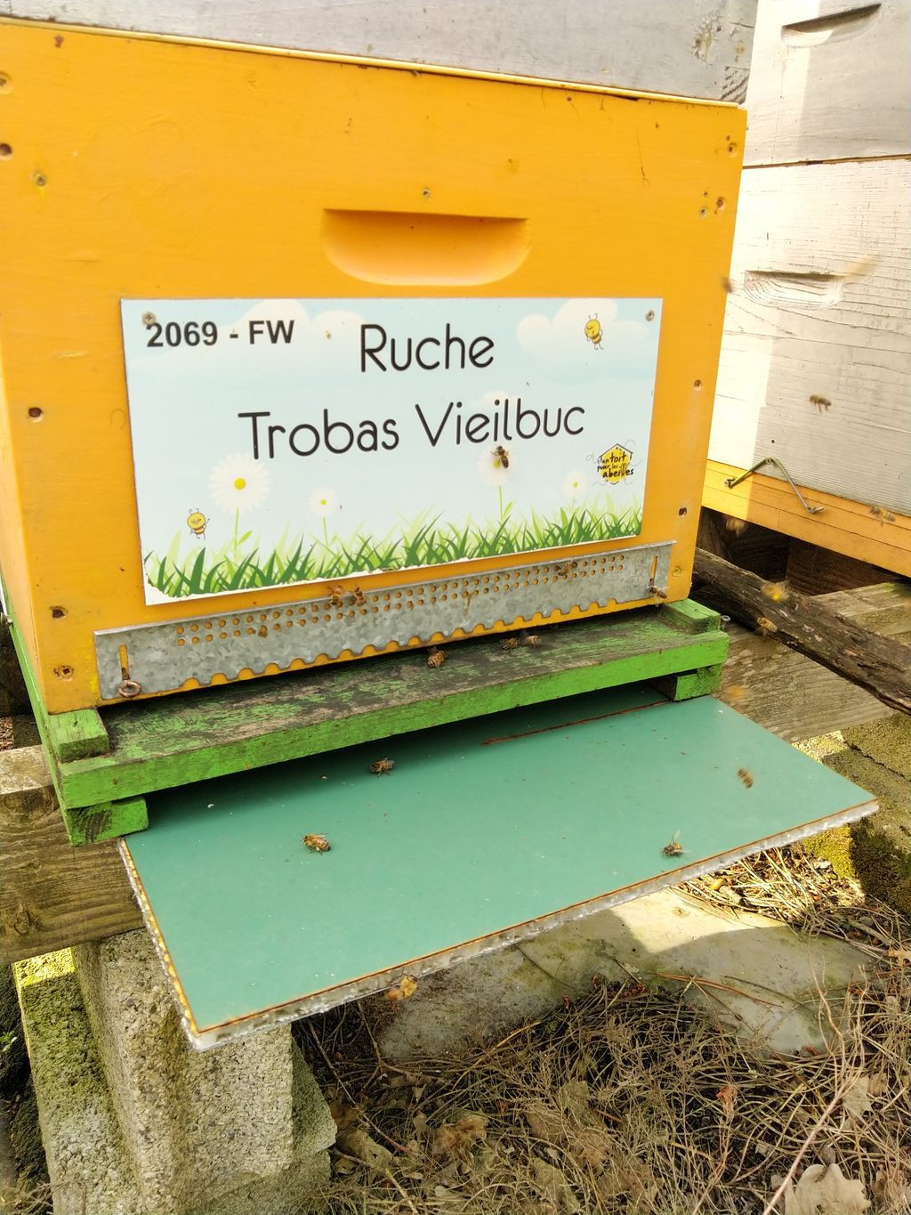 La ruche Trobas Vieilbuc