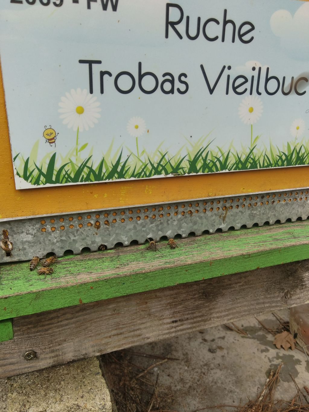 La ruche Trobas Vieilbuc