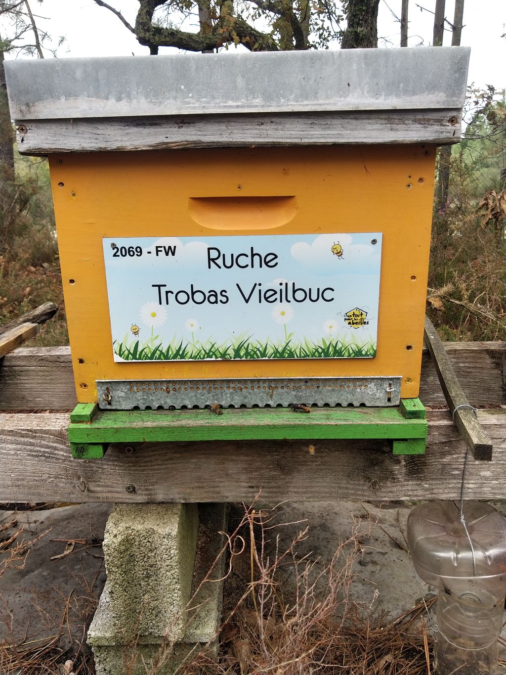 La ruche Trobas Vieilbuc