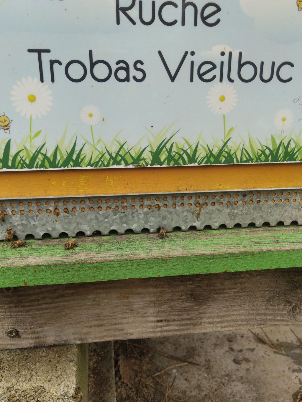 La ruche Trobas Vieilbuc