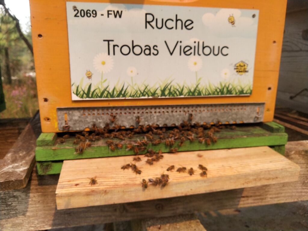 La ruche Trobas Vieilbuc