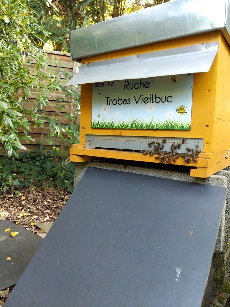 La ruche Trobas Vieilbuc