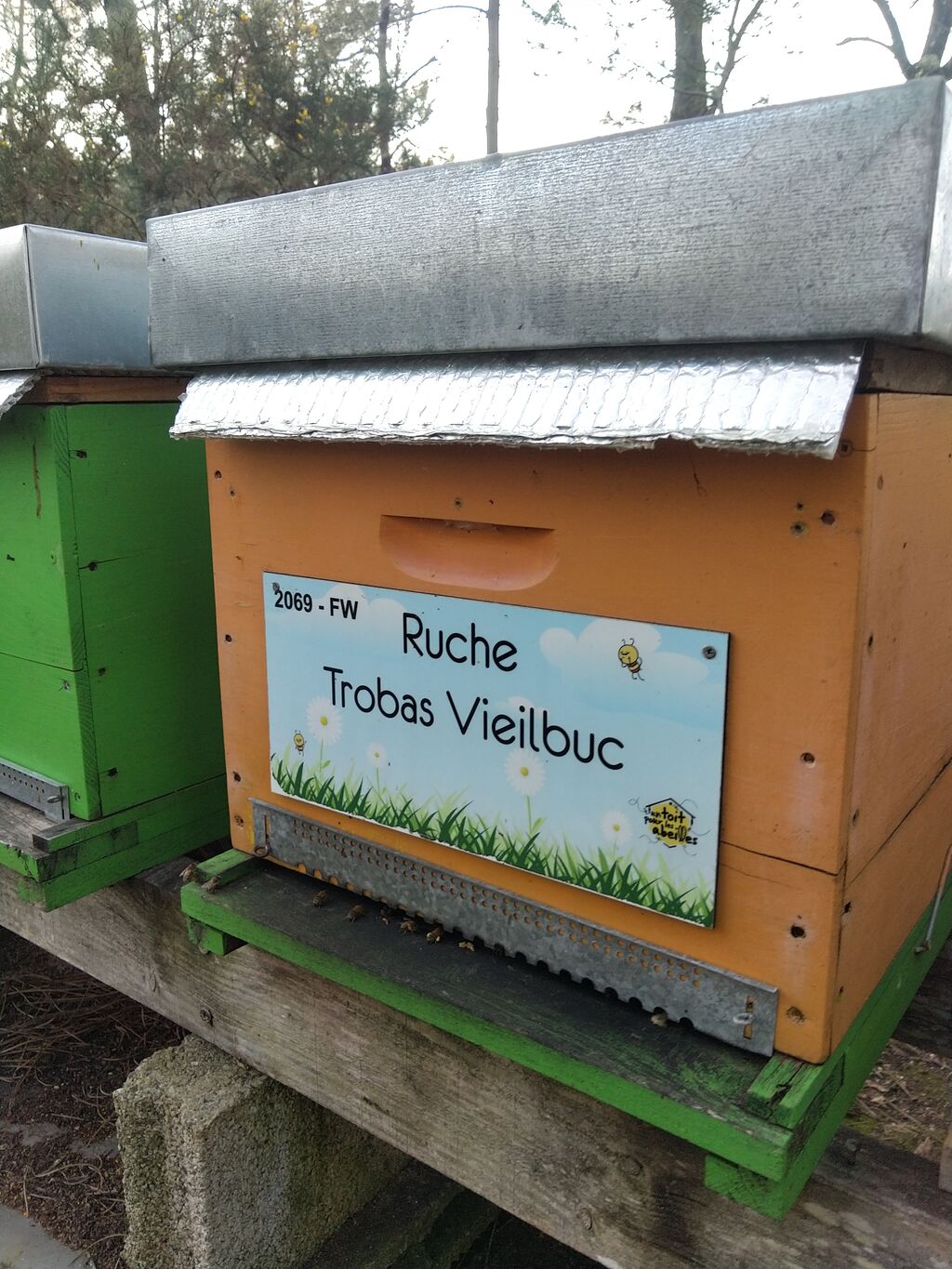 La ruche Trobas Vieilbuc