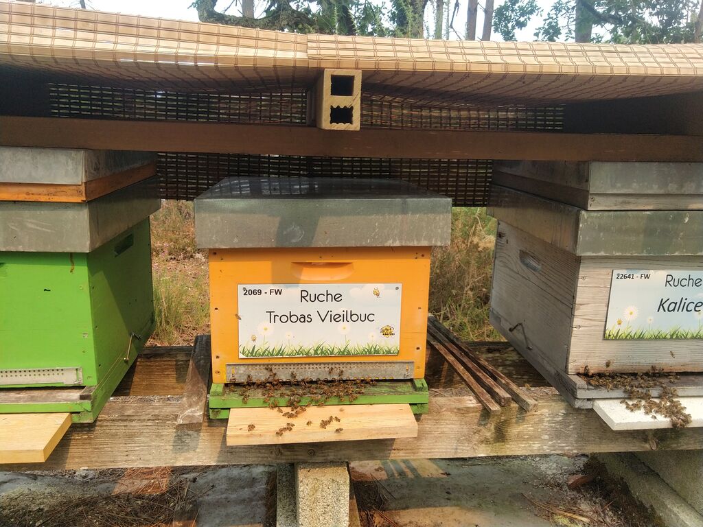 La ruche Trobas Vieilbuc