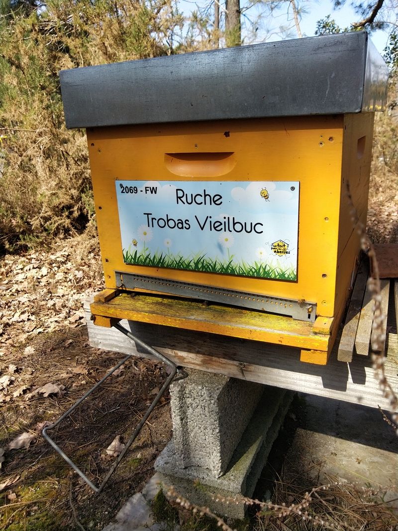 La ruche Trobas Vieilbuc
