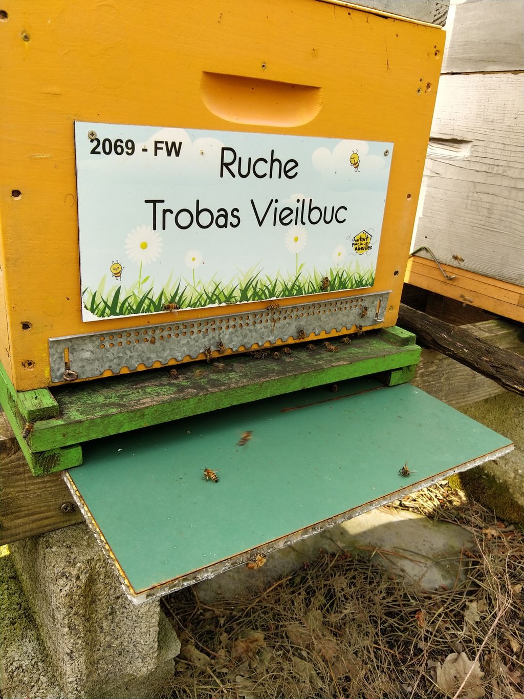 La ruche Trobas Vieilbuc