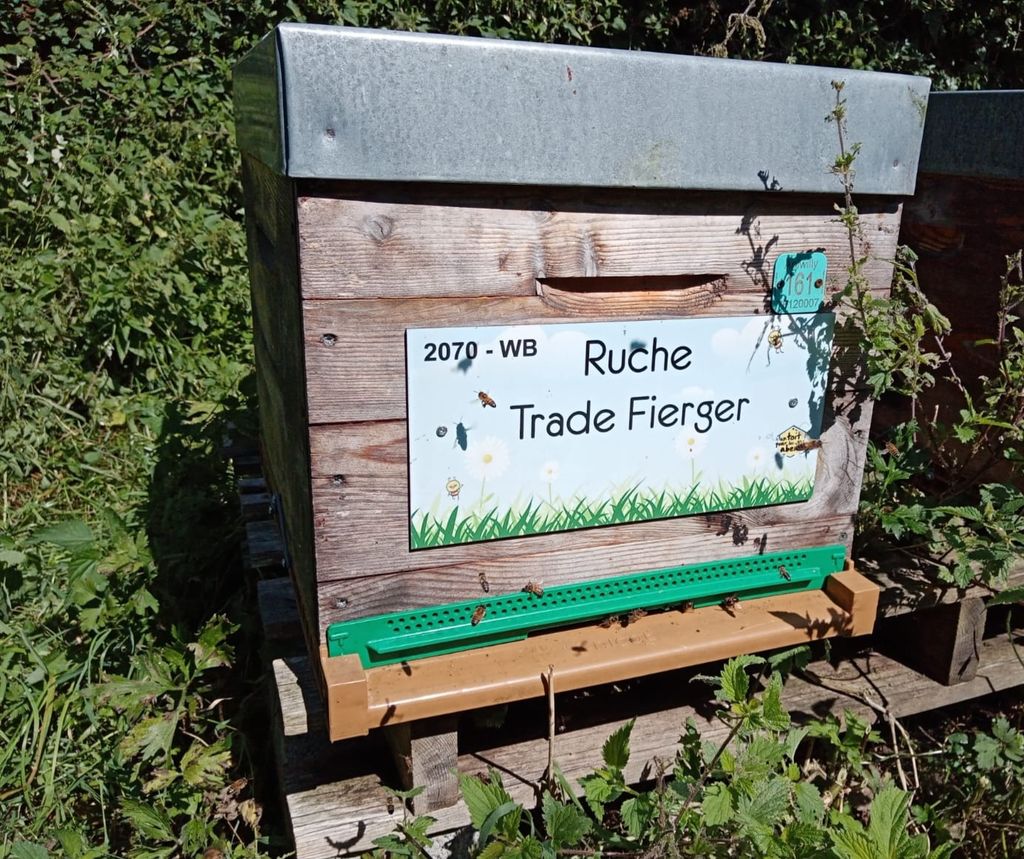 La ruche Trade Fierger