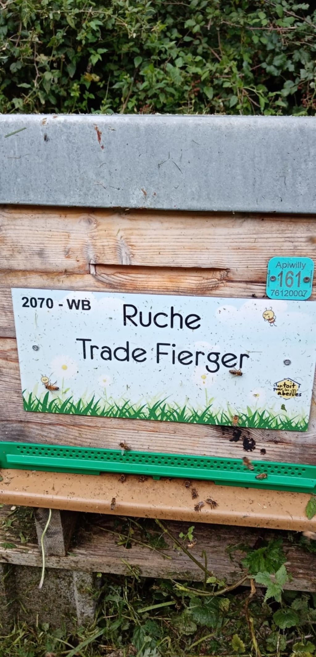 La ruche Trade Fierger