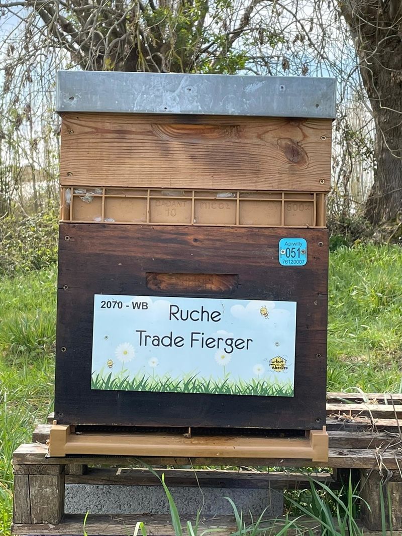 La ruche Trade Fierger