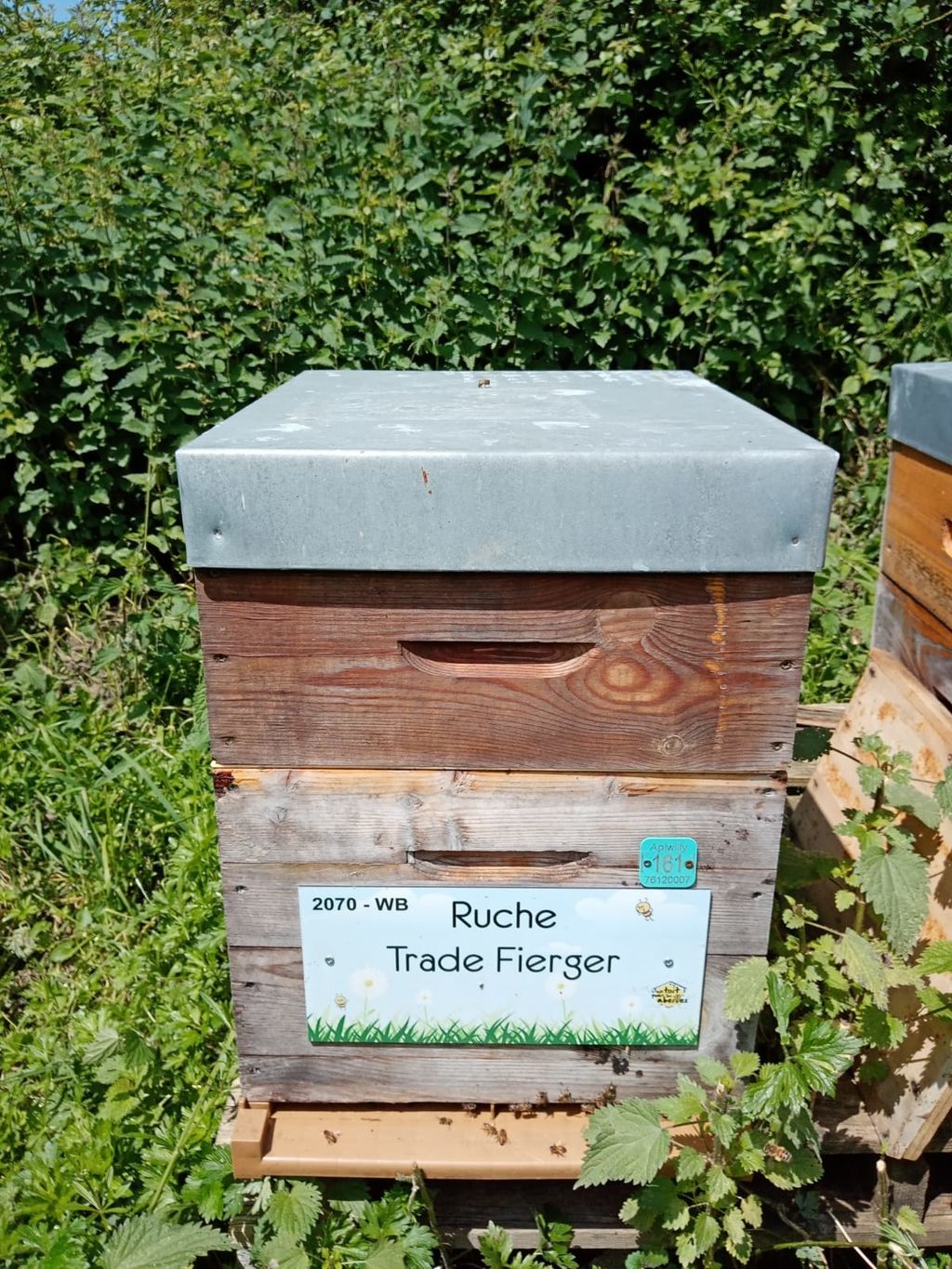 La ruche Trade Fierger