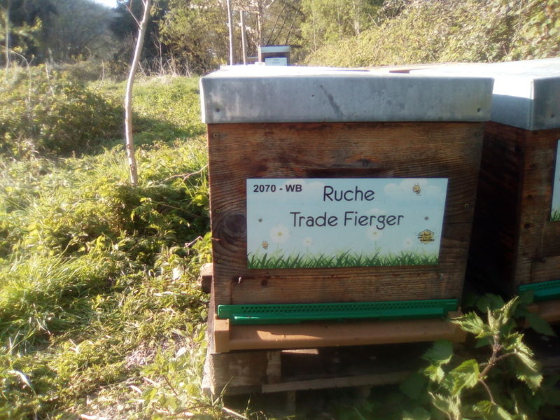 La ruche Trade Fierger