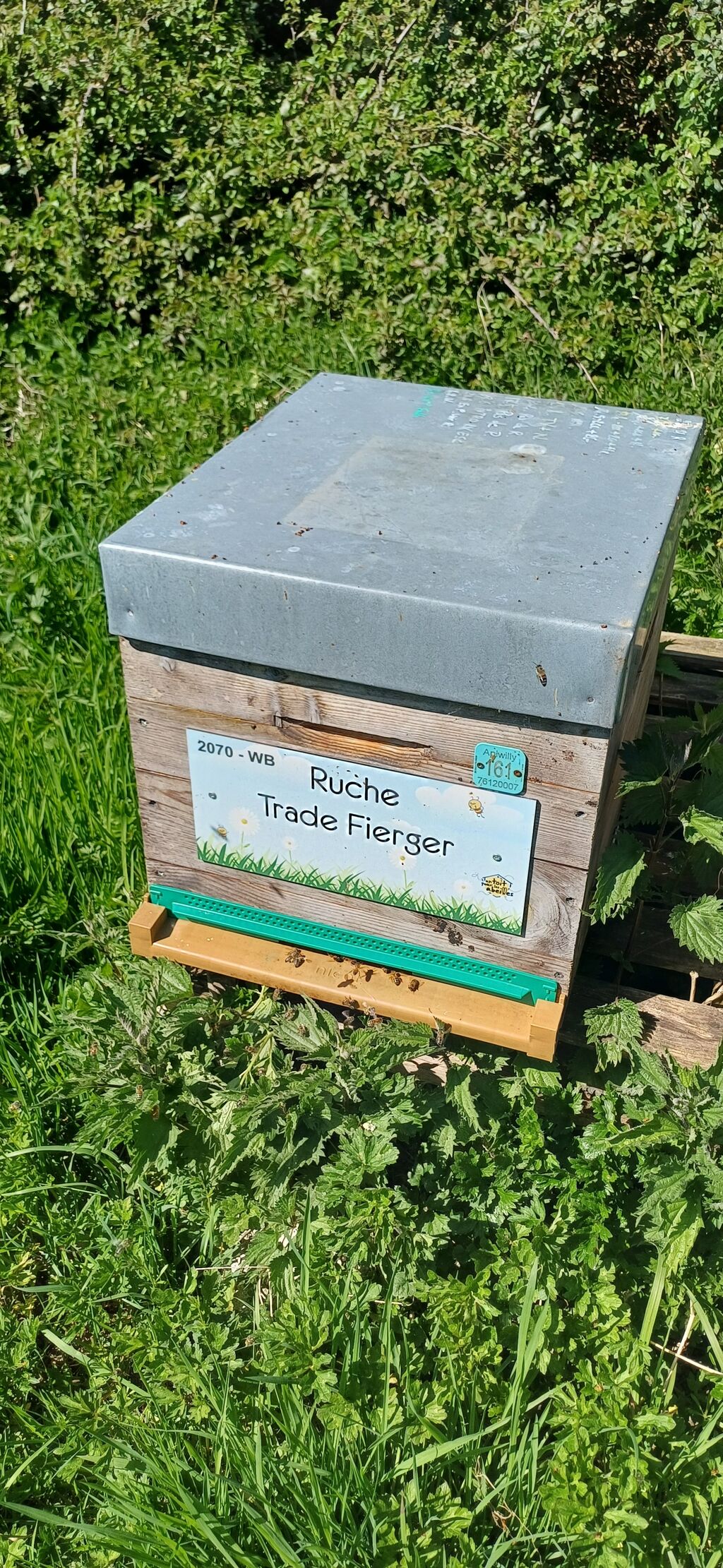 La ruche Trade Fierger