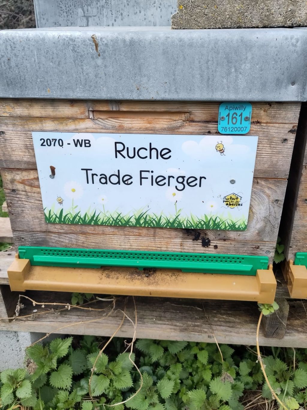 La ruche Trade Fierger