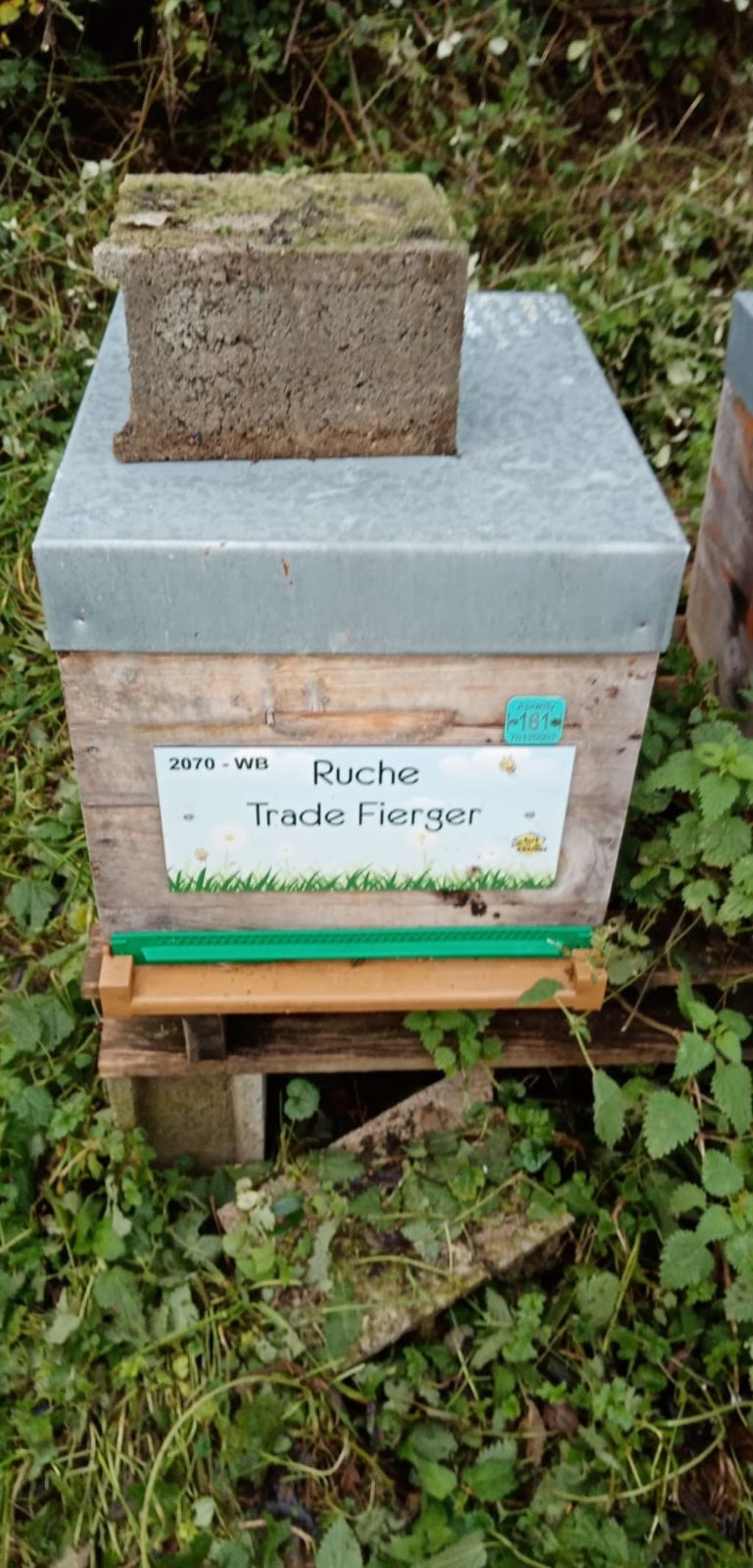 La ruche Trade Fierger