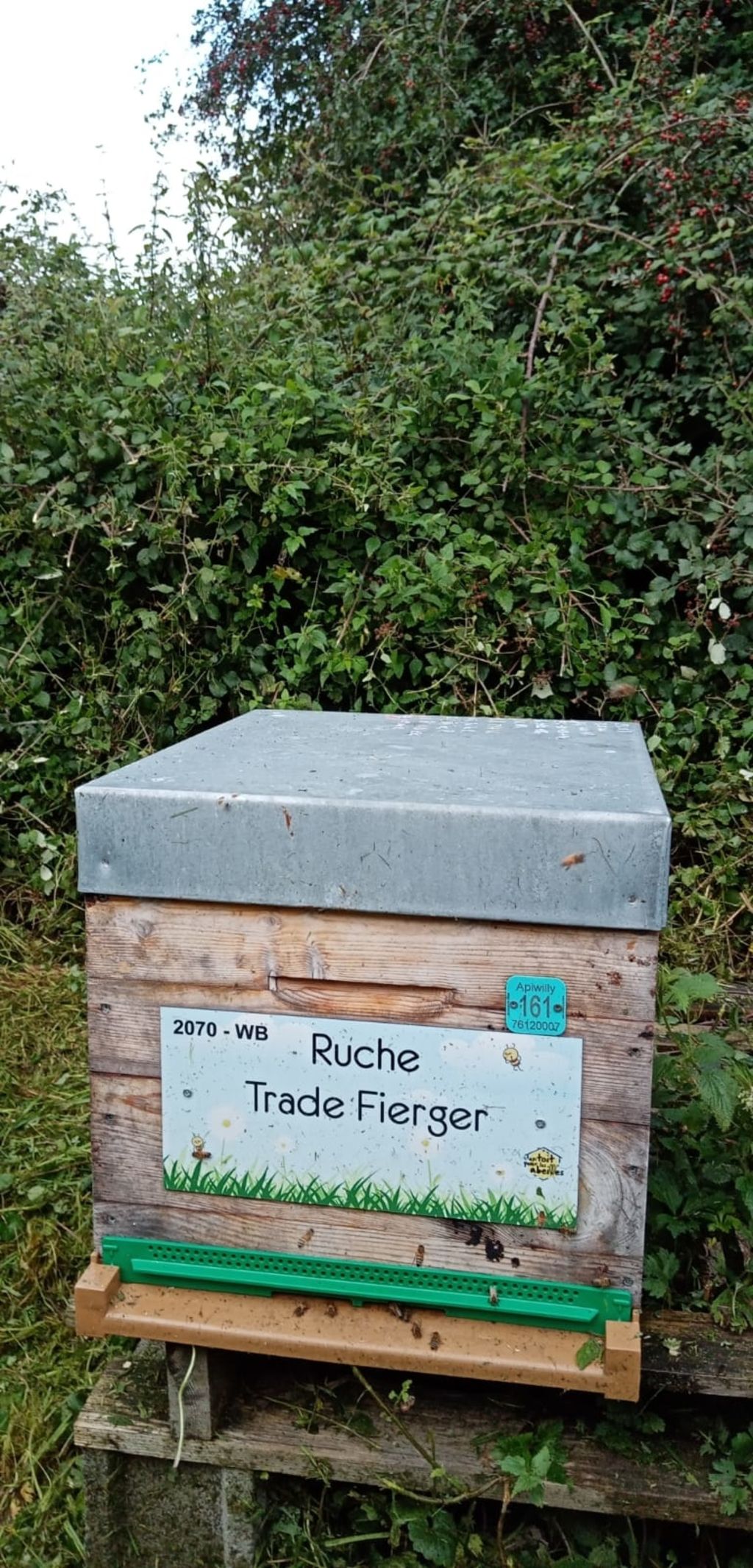 La ruche Trade Fierger
