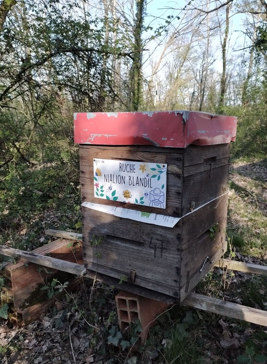 La ruche Nialion Blandil
