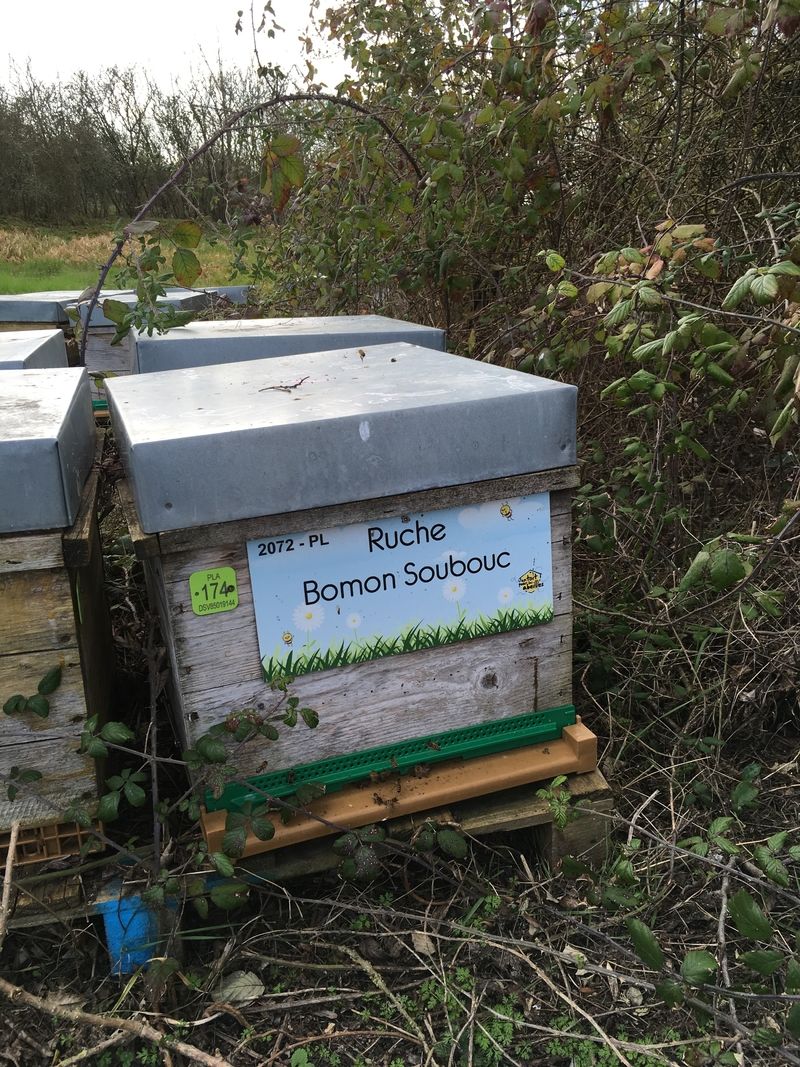 La ruche Bomon Soubouc