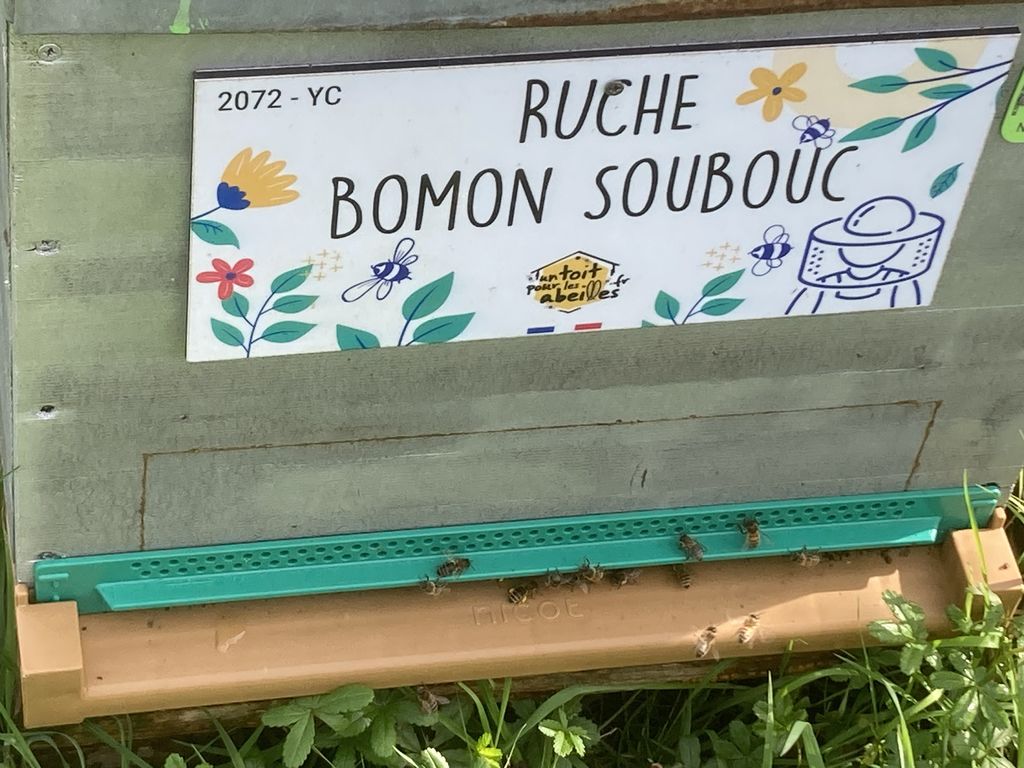 La ruche Bomon Soubouc