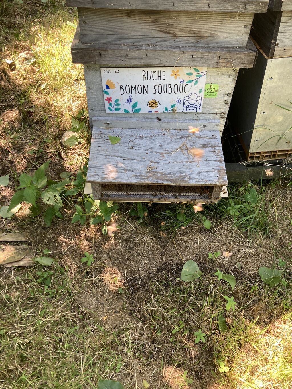 La ruche Bomon Soubouc
