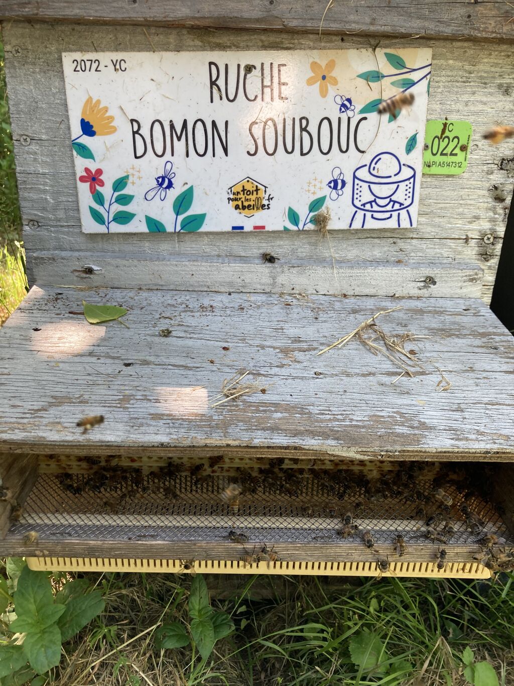La ruche Bomon Soubouc