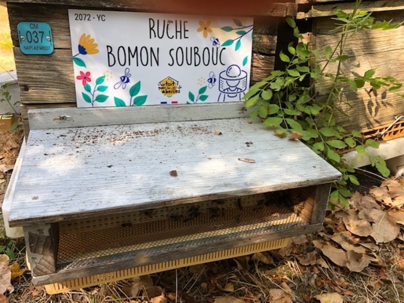 La ruche Bomon Soubouc